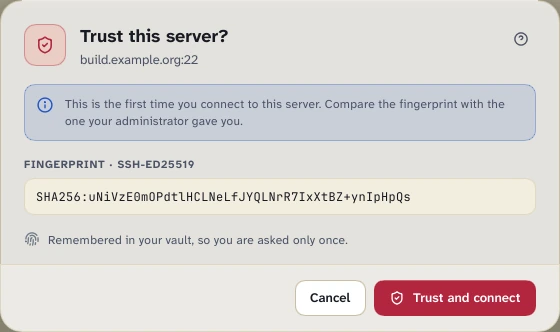 The Trust this server? dialog in the light theme.